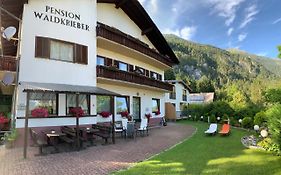 Pension&Apartments Waldkrieber